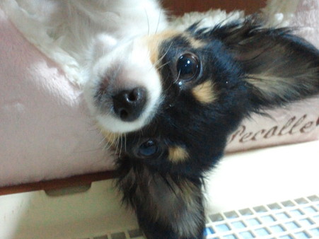 201201123