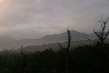 IMG_3407A