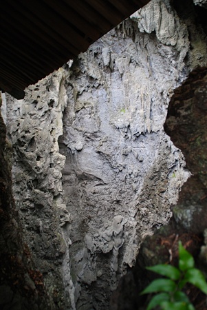 turarakannnon08
