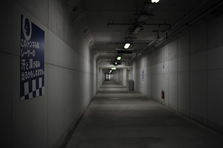 DSC_3906m