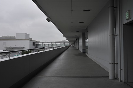DSC_3897m