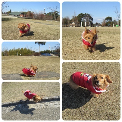 20120108 お散歩