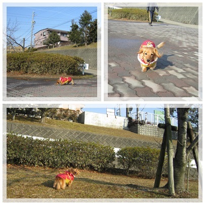 20120122 お散歩2