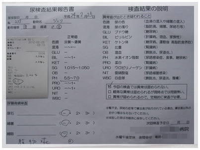 20120225 おちっこ検査 結果