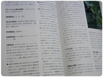 20120705 内容