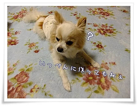 作っても……