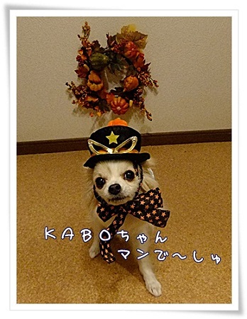 kaboちゃんマン
