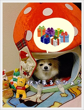 何だろう?