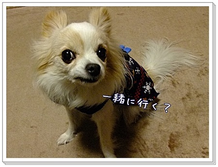 行く?