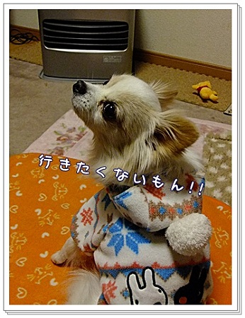 行きたくない