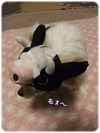 ~もぉ