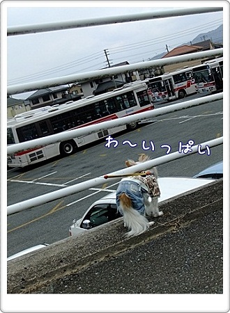 いっぱい
