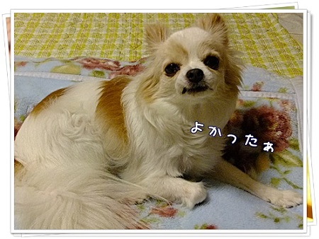 よかった♪