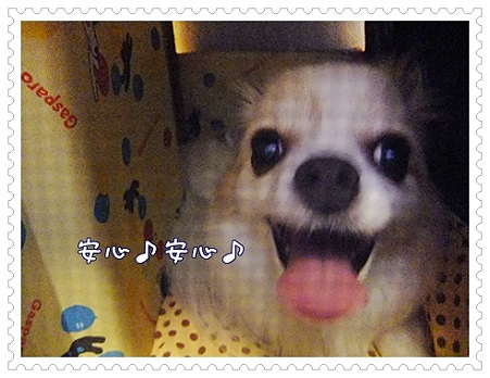 安心