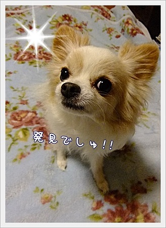 発見