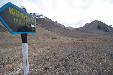IMGP4398