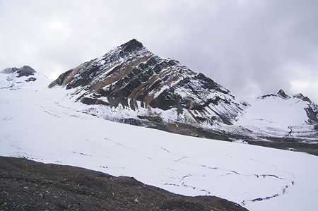 IMGP4478