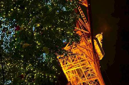 Tokyo Tree
