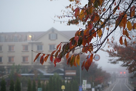 DSC00010