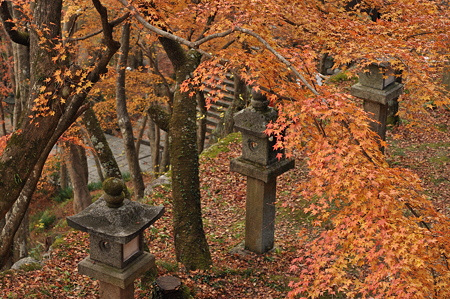 談山神社の紅葉-8