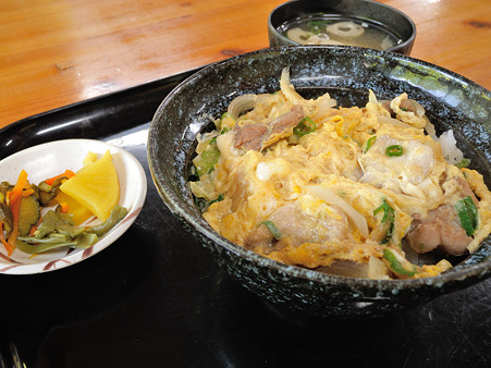 きじ丼(道の駅・熊野古道中辺路【和歌山】)