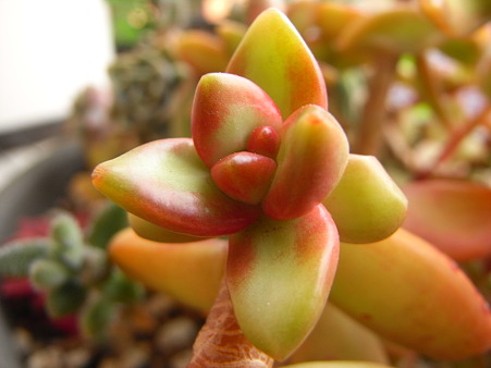 R0012165