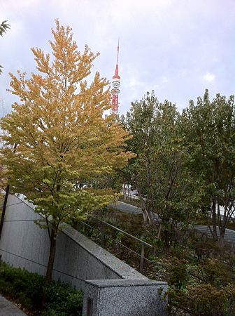 芝公園も紅葉し始め