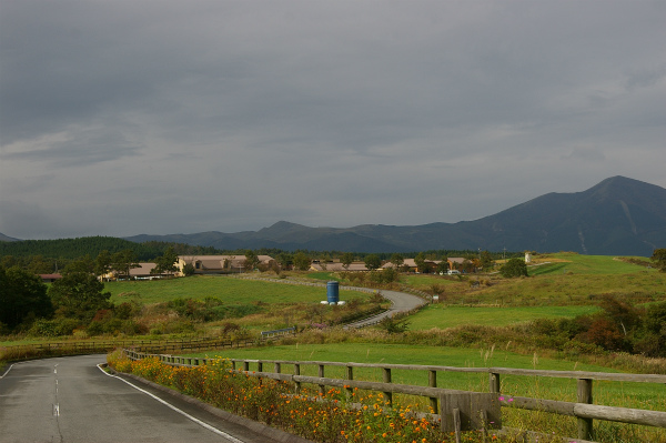 牧場を見るとのどかと感じてしまう