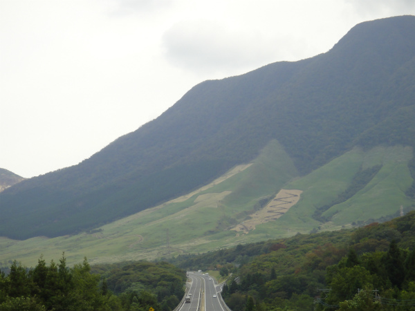 九州の山は森林よりも草原が多い
