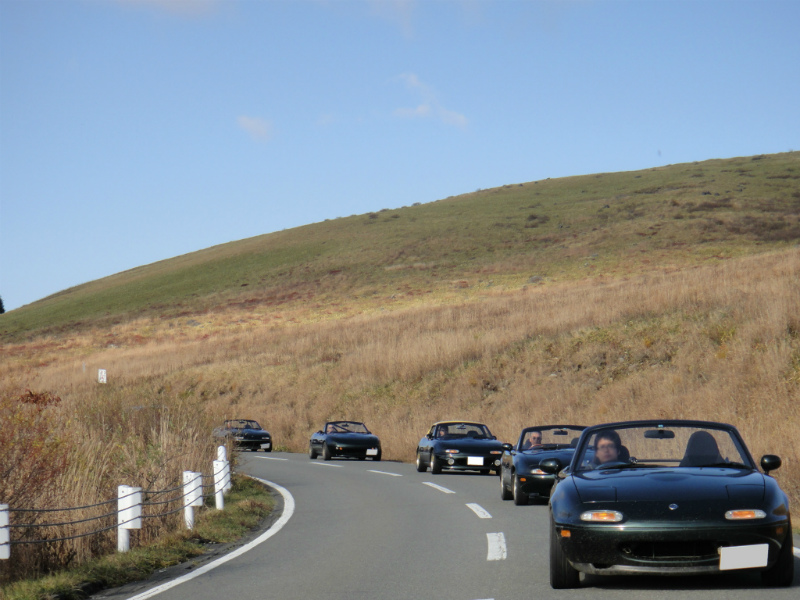 車山は木が少なく草原中心の山