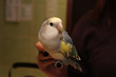 DSC01715