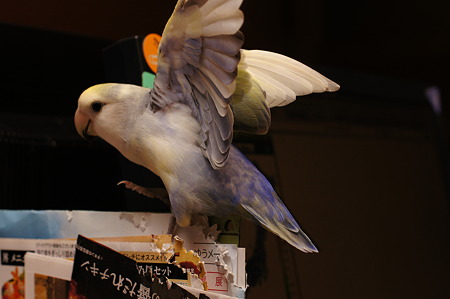 DSC03941